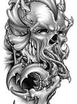 pic for biomech skull